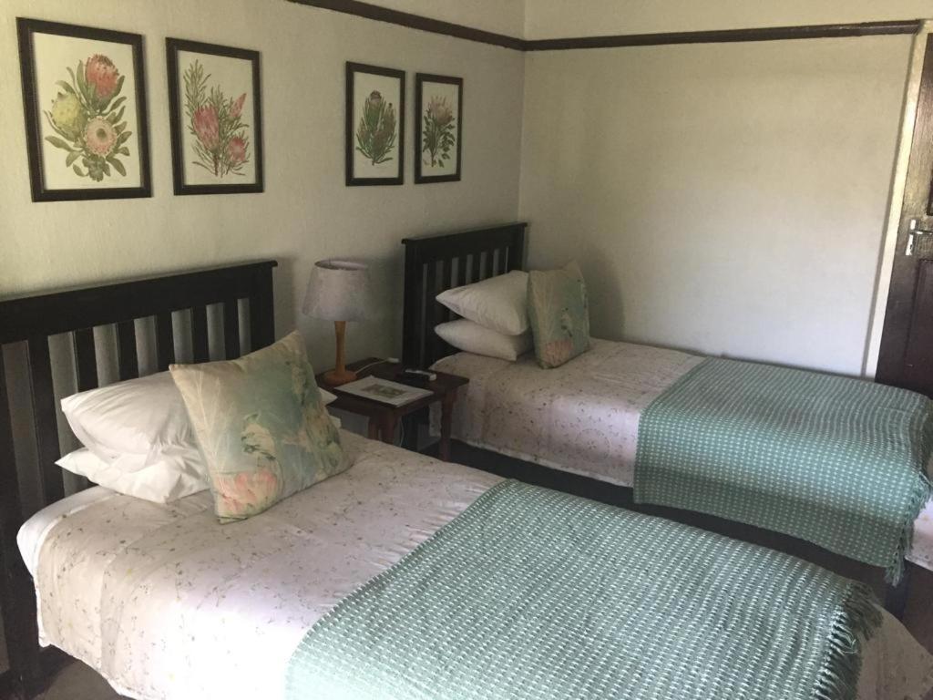 Beit Shalom Before Known As Best Little Guesthouse Oudtshoorn Exterior photo
